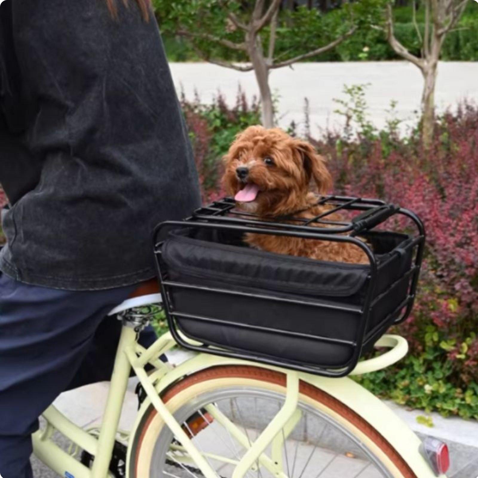 Bicycle Basket With Dog Strap  - Mountain Biking With Dog 评论和价格