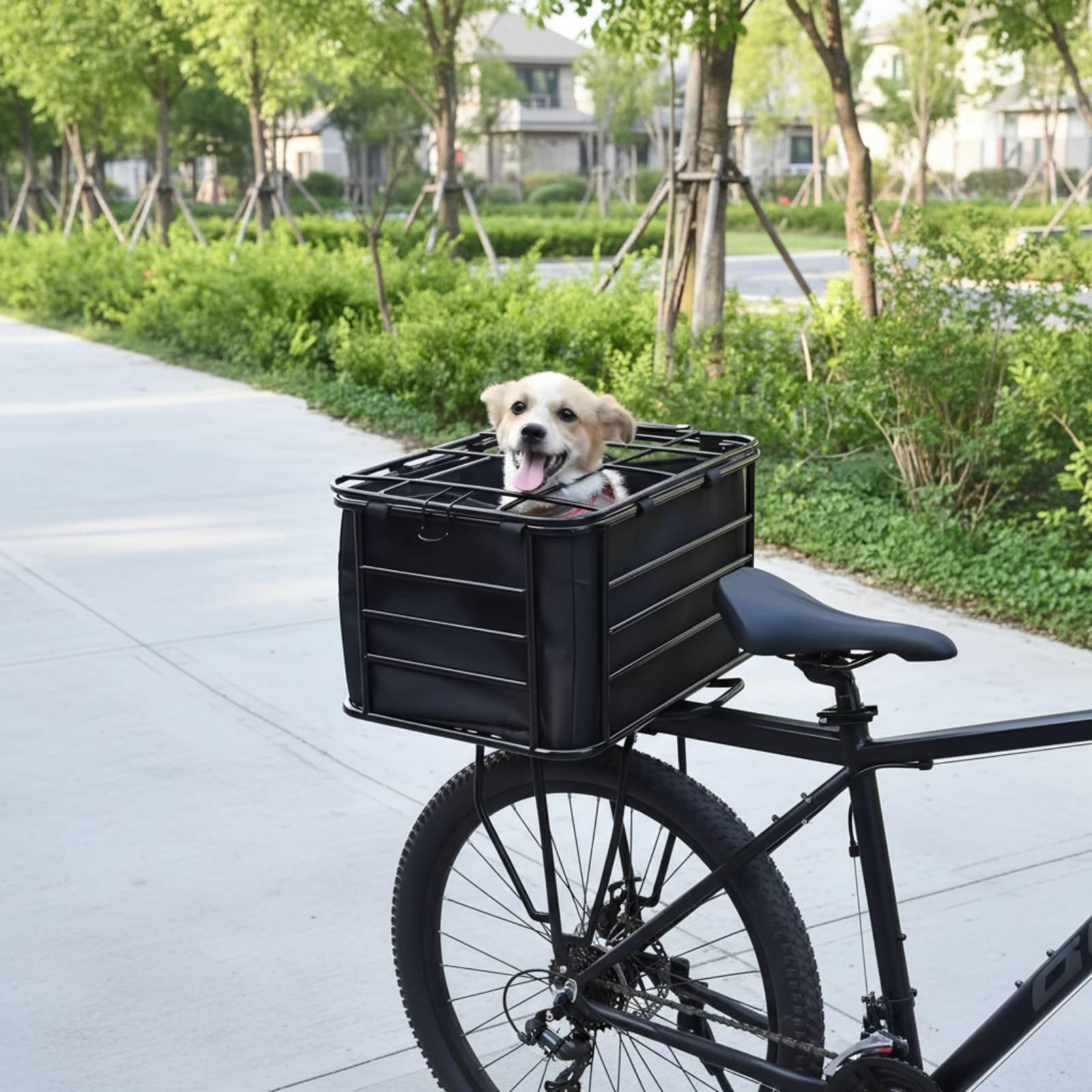 Bicycle Basket With Dog Strap  - Mountain Biking With Dog 评论和价格