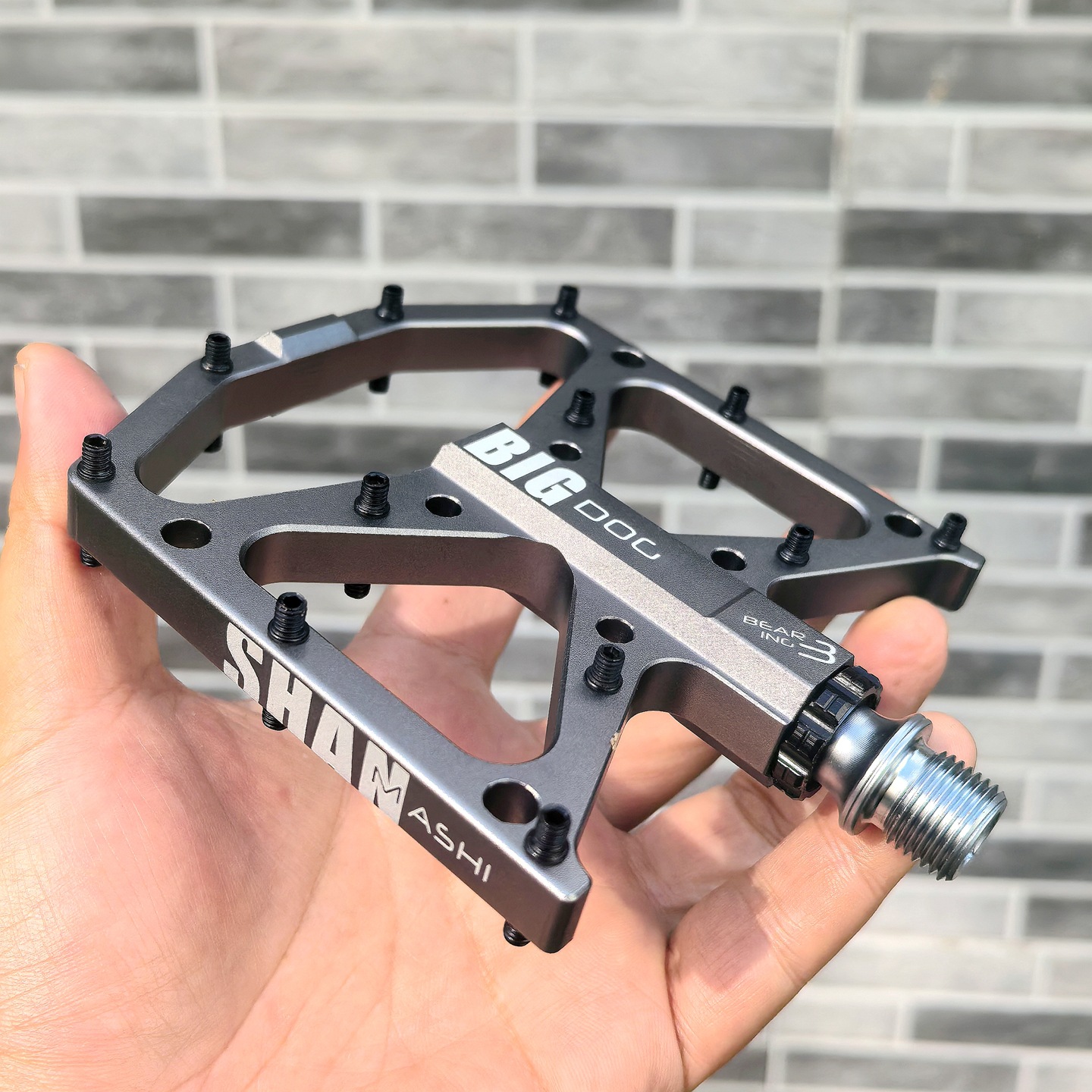 Big dog pedals mountain bike 3 - Mountain Biking With Dog 评论和价格